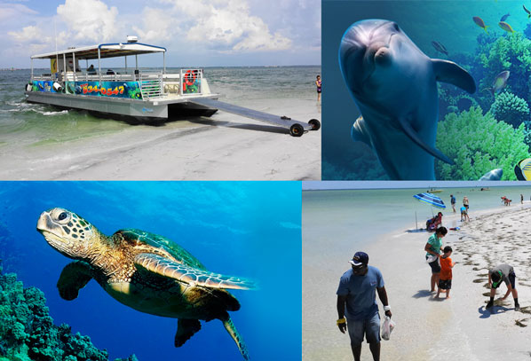 dolphin-adventure-island-cruise
