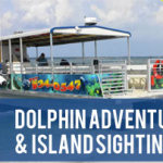 dolphin-beach-cruise