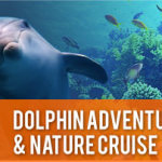 dolphin-nature-cruise