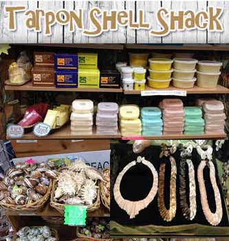 shell-shack