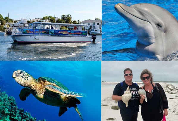 Dolphin Cruise Pensacola Beach